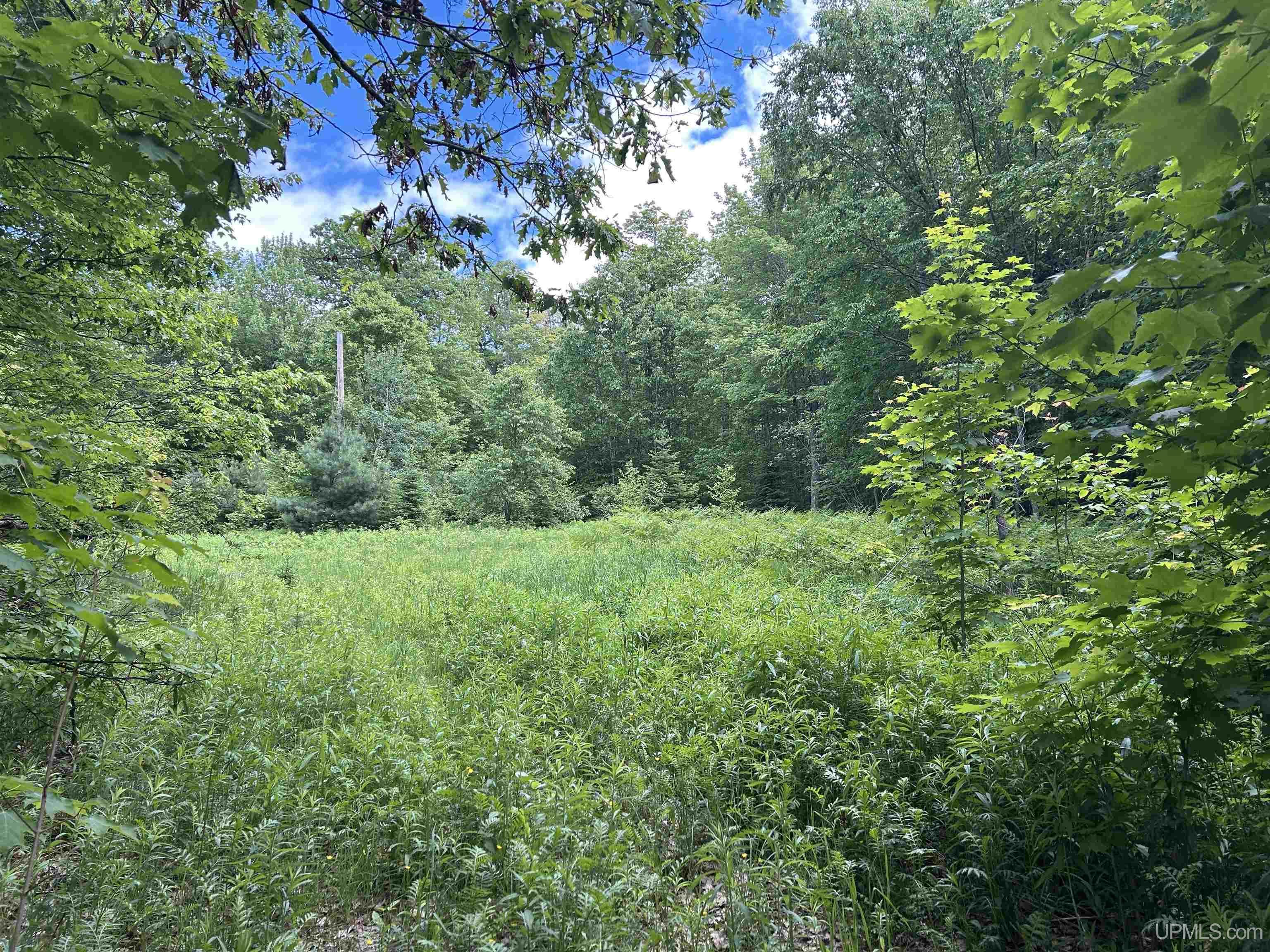 N Carlshend Rd, Skandia, MI 49885