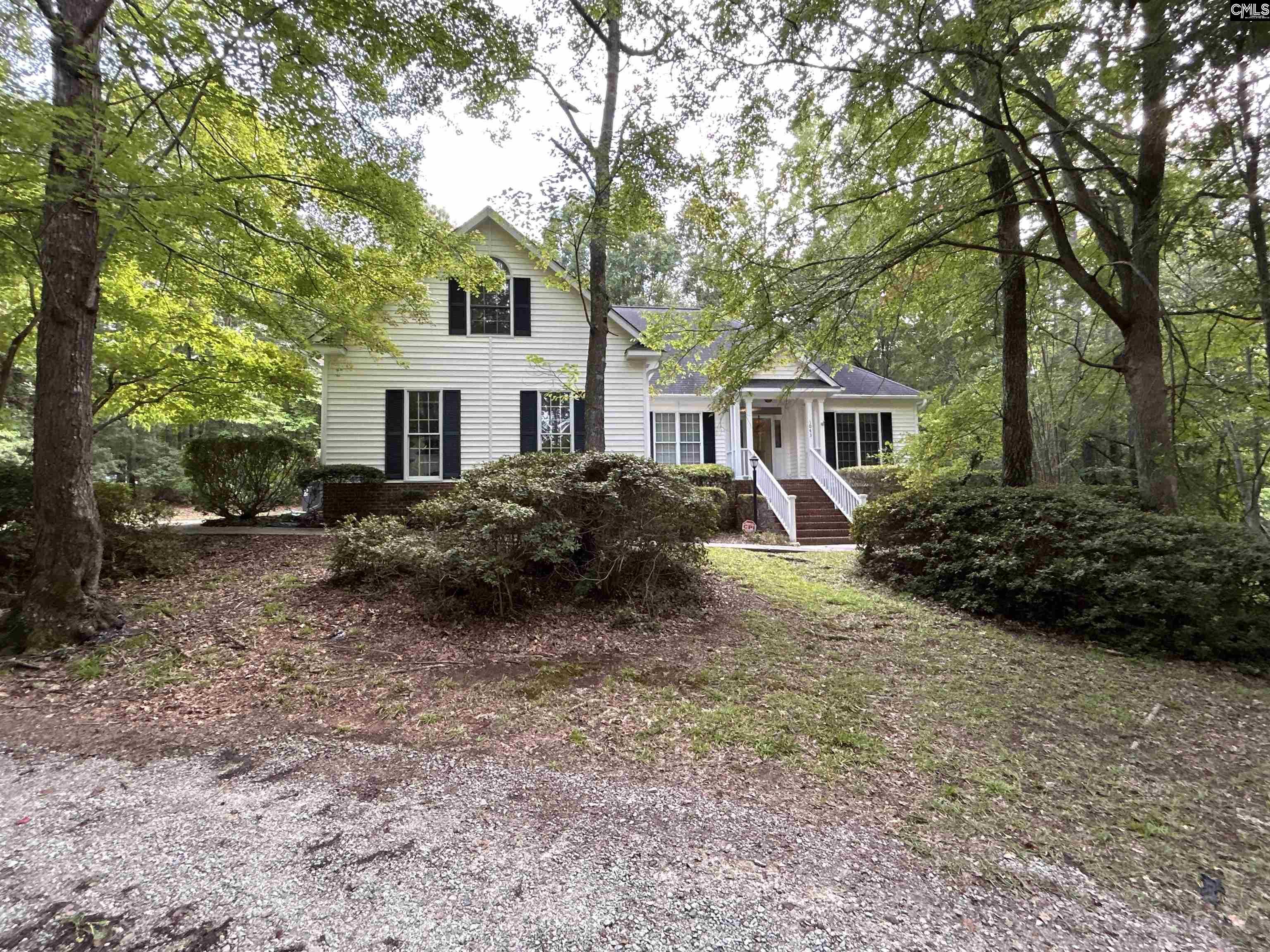 Old Bush River Rd, Chapin, SC 29036