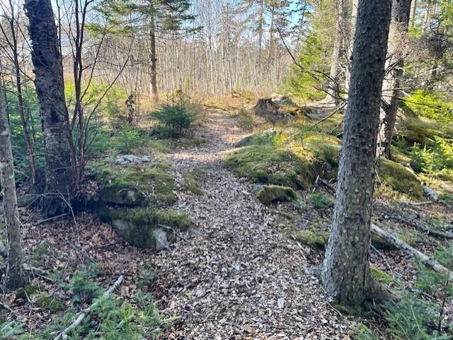 Rockledge Rd, South Thomaston, ME 04858