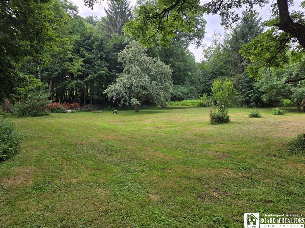 Potter Rd, Mayville, NY 14757