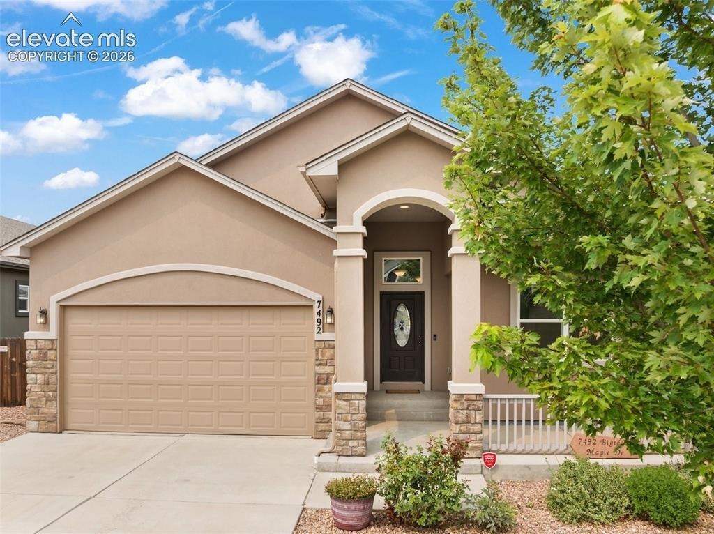 Bigtooth Maple Dr, Colorado Springs, CO 80925