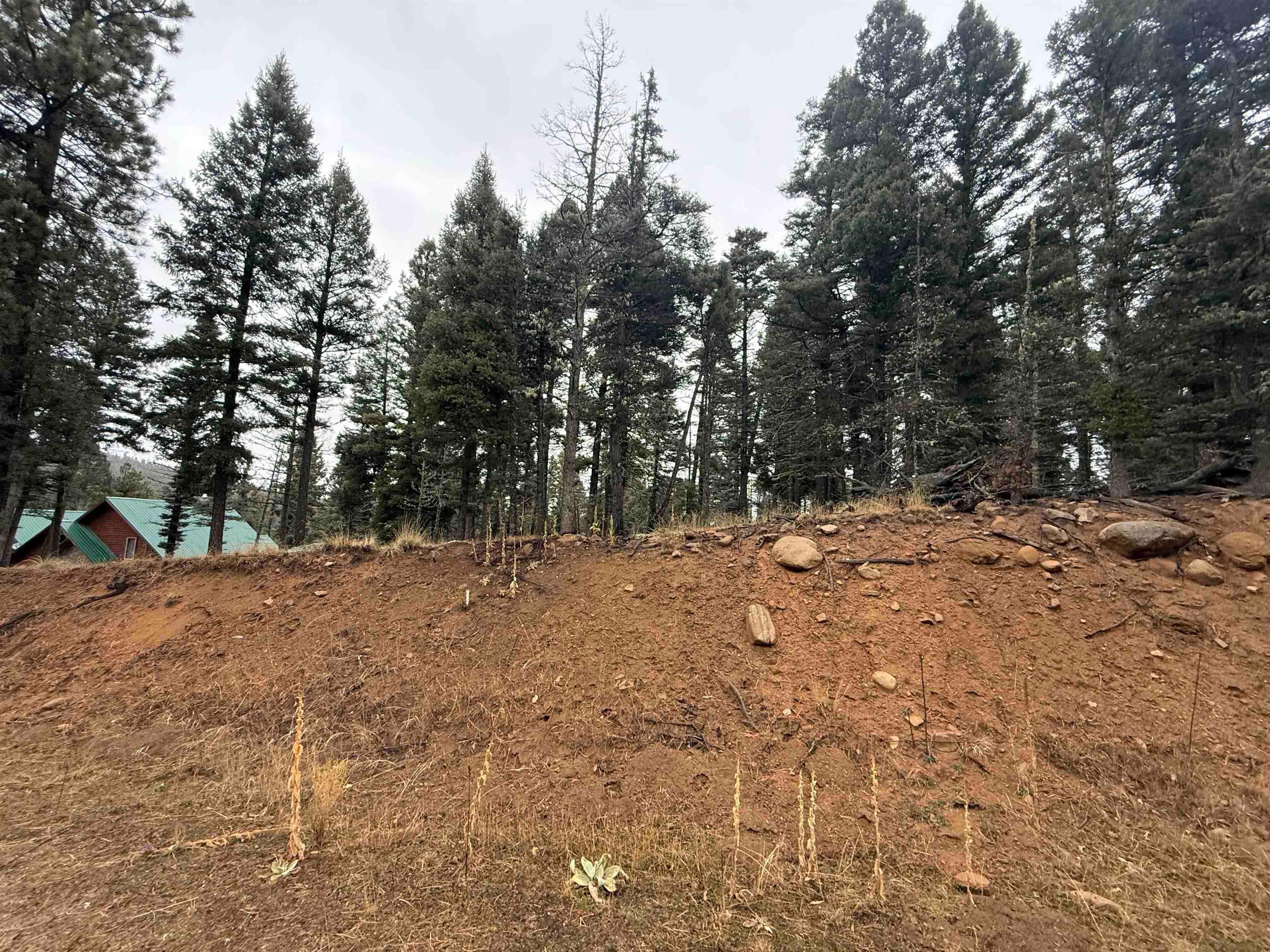 Via Del Rey, Angel Fire, NM 87710