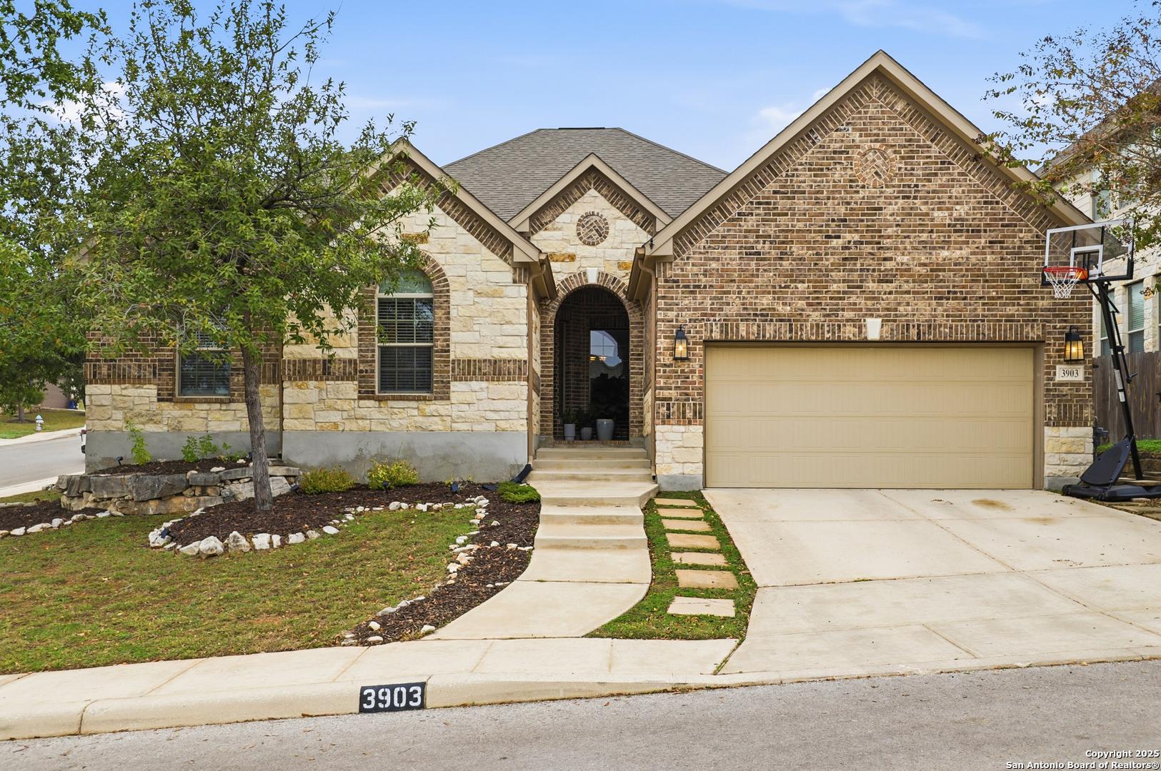 Firebush, San Antonio, TX 78261