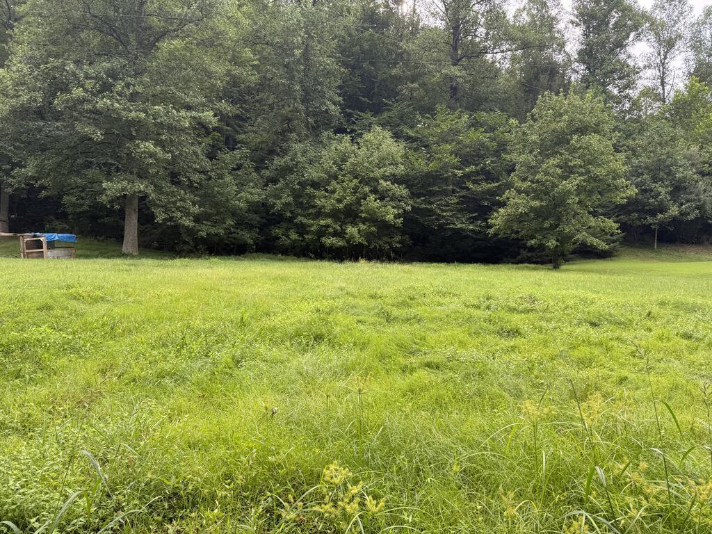 Brown Br, Sitka, KY 41255