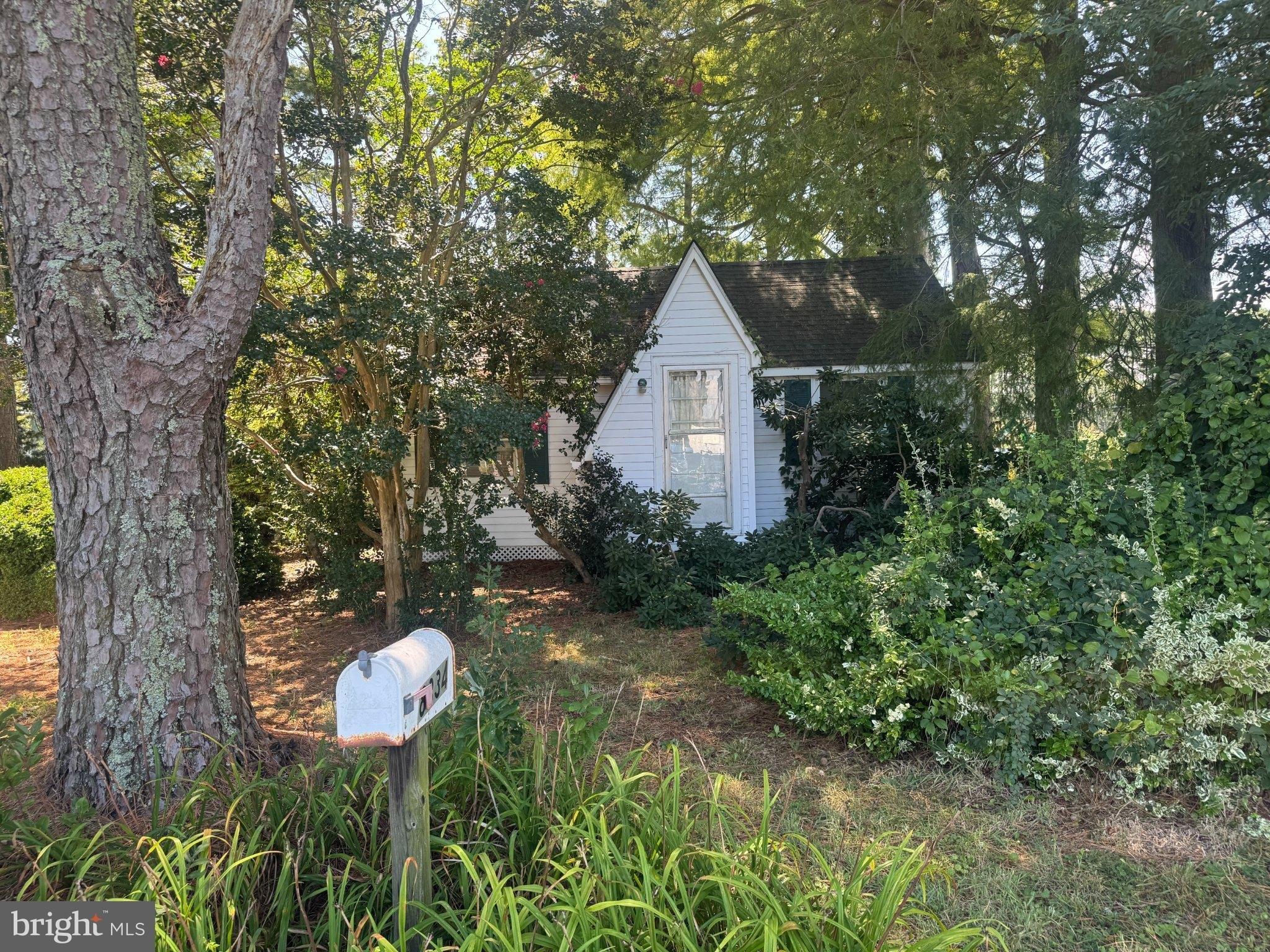 3rd St, Snow Hill, MD 21863