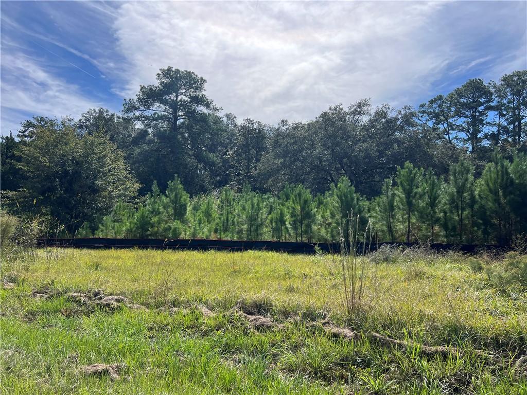 Smith Rd, Brunswick, GA 31525