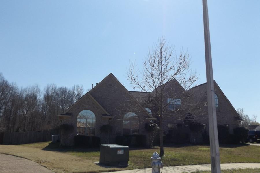 Logwood Cv, Bartlett, TN 38002