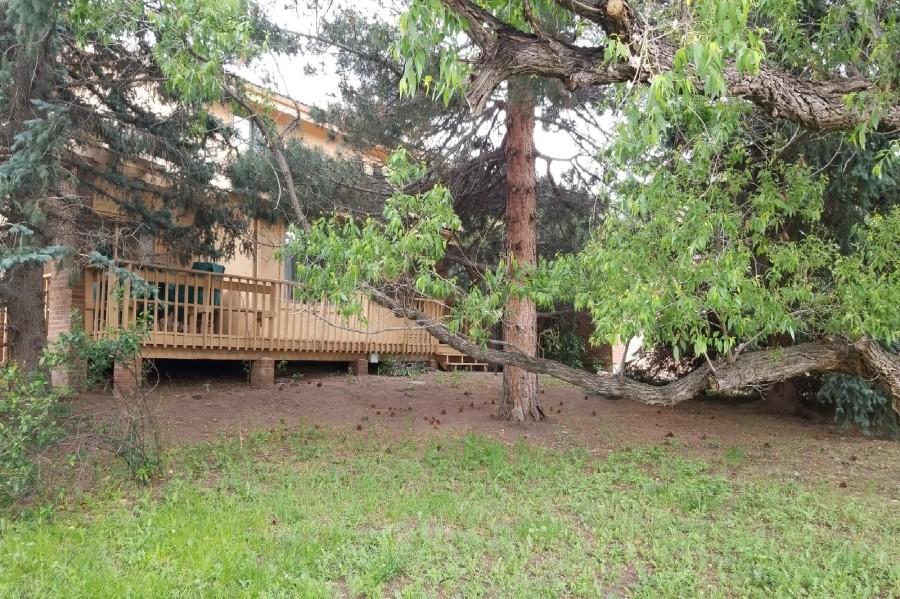 Brown Fox Trl, Littleton, CO 80125