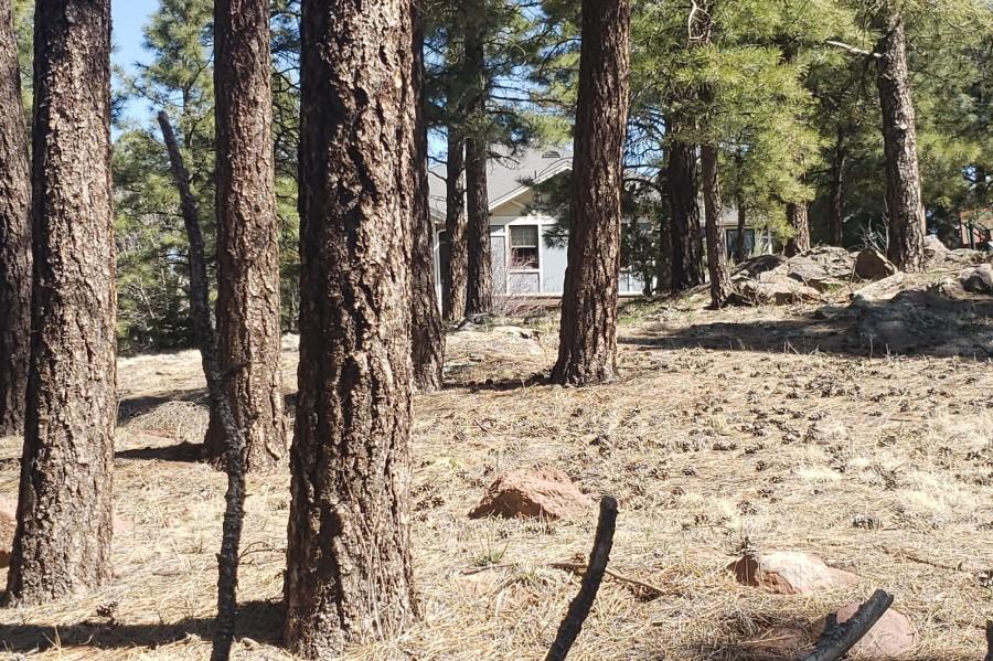 Turkey Hills Dr, Flagstaff, AZ 86004