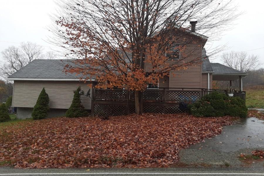 Indian Head Rd, Champion, PA 15622