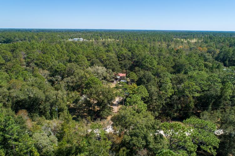 Ne 159th Ave, Williston, FL 32696