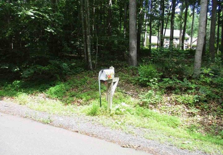 Tinsley Pl, Culpeper, VA 22701