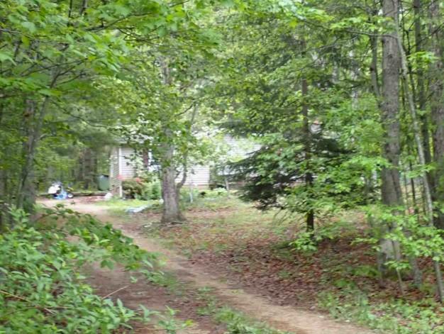 Cold Springs Rd, Greenville, VA 24440