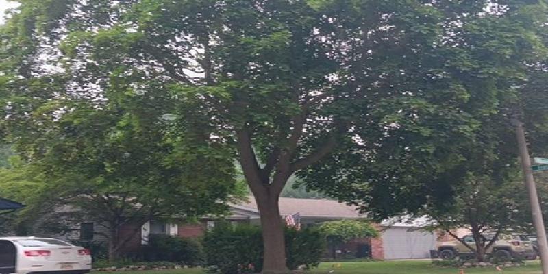 Willowbrook Dr, Saginaw, MI 48638