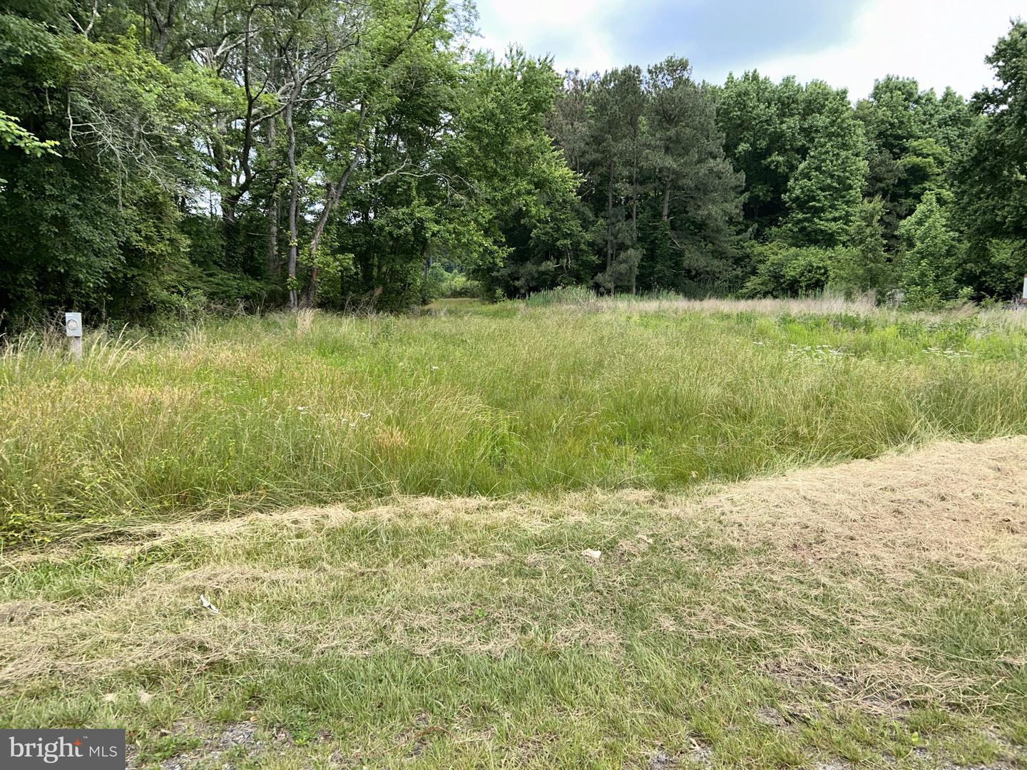 Baker Rd, Bridgeville, DE 19933
