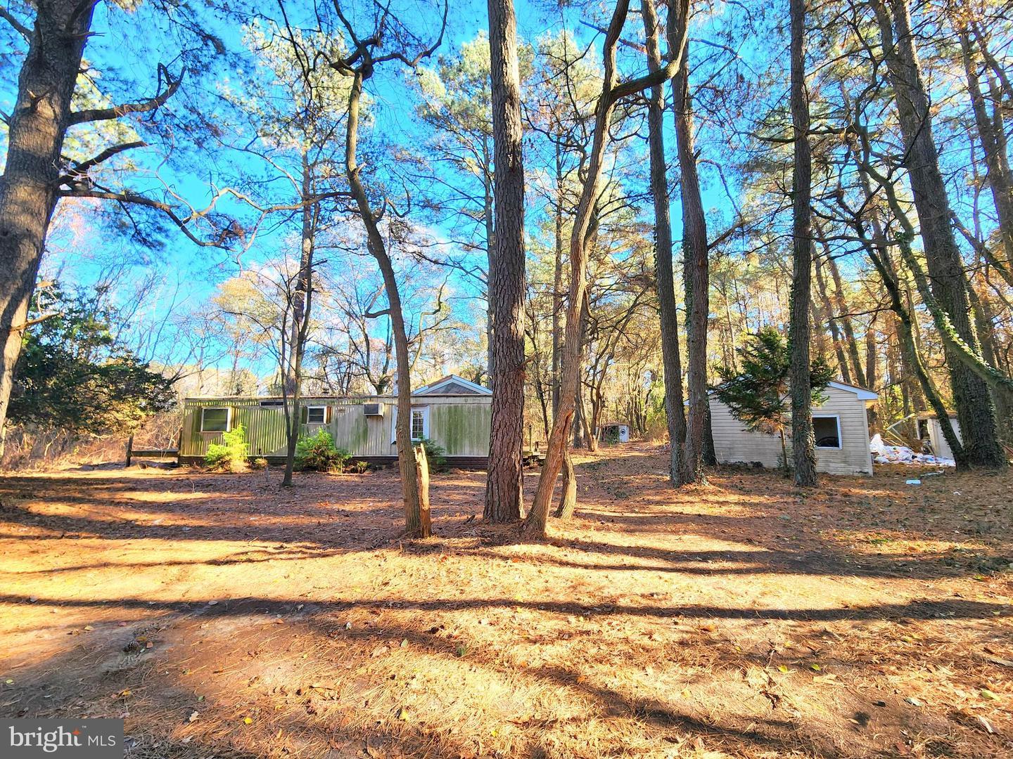 Bailey Store Rd, Federalsburg, MD 21632