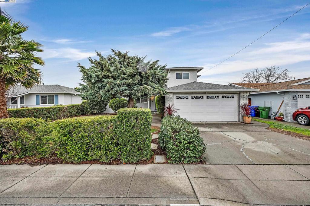 Fiesta Rd, Fremont, CA 94538
