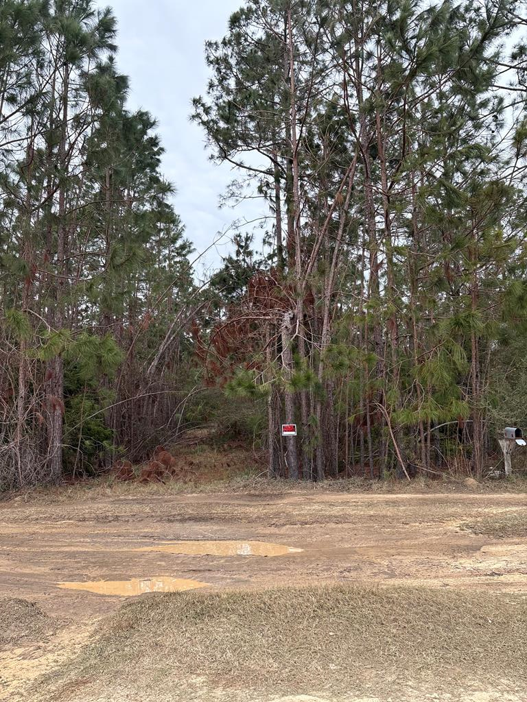 Hill Rd, Lyons, GA 30436