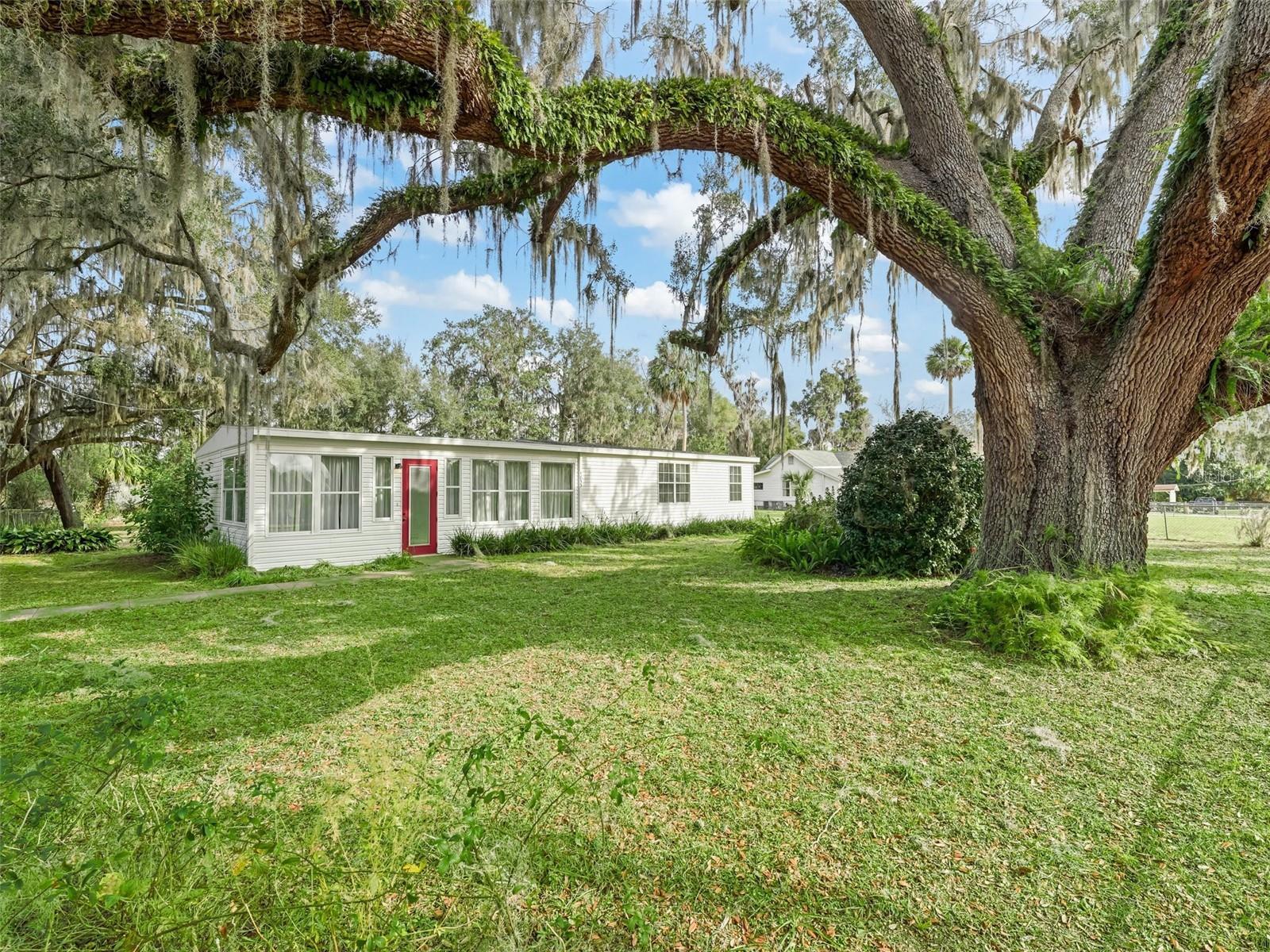 Ne 19th Ct, Citra, FL 32113