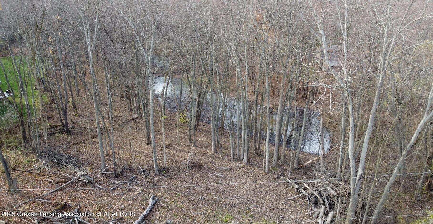 Peacock Rd, Haslett, MI 48840