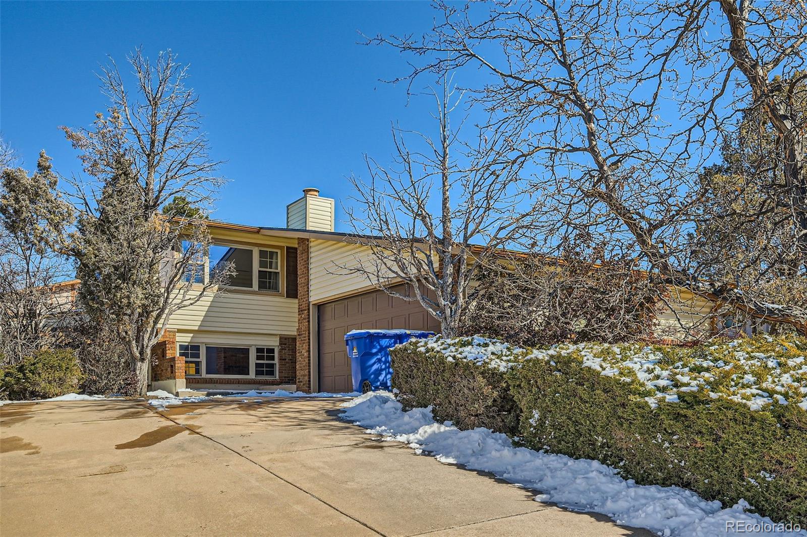 Bitterweed Ln, Colorado Springs, CO 80917