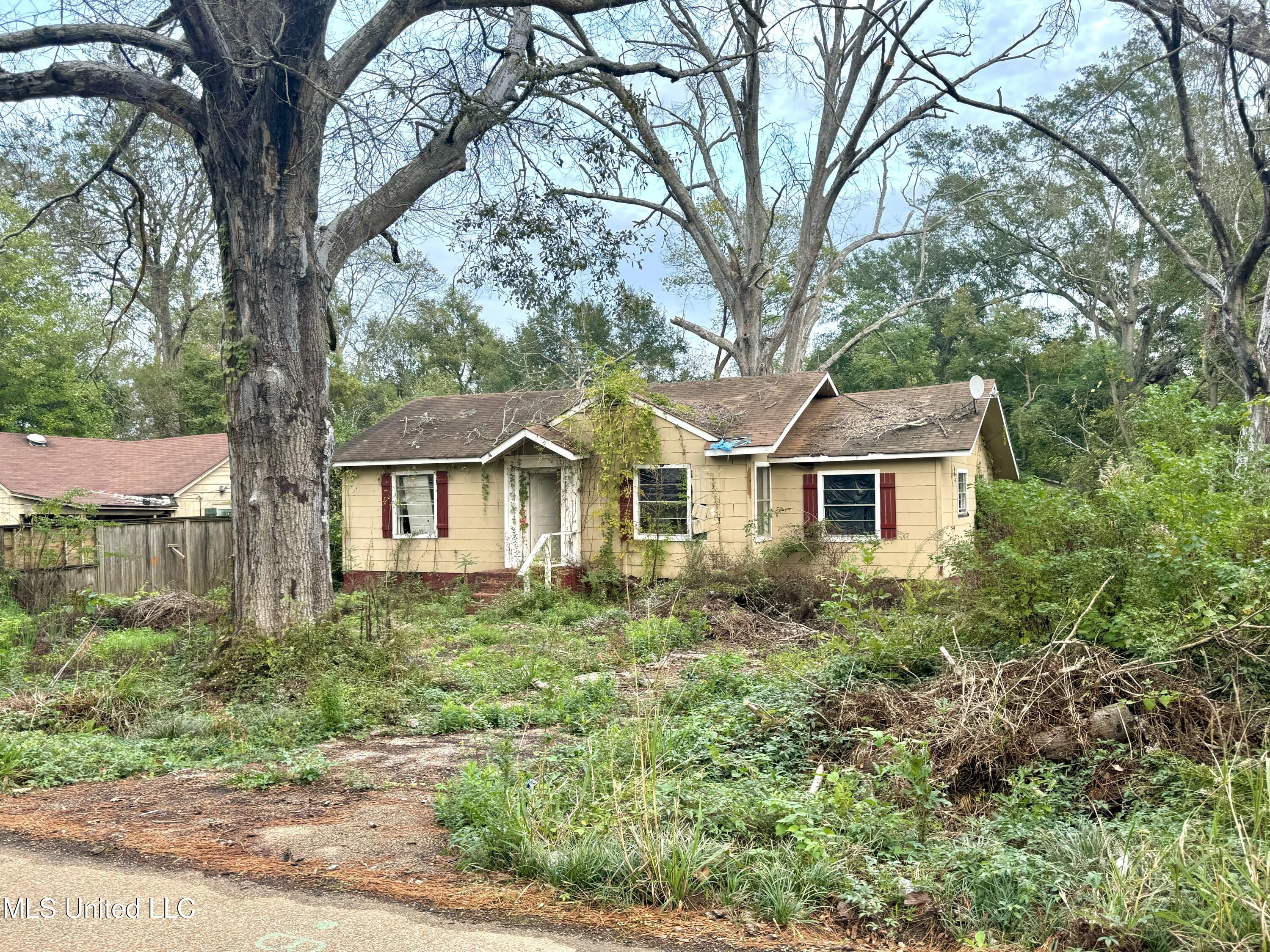 Willaneel Dr, Jackson, MS 39204