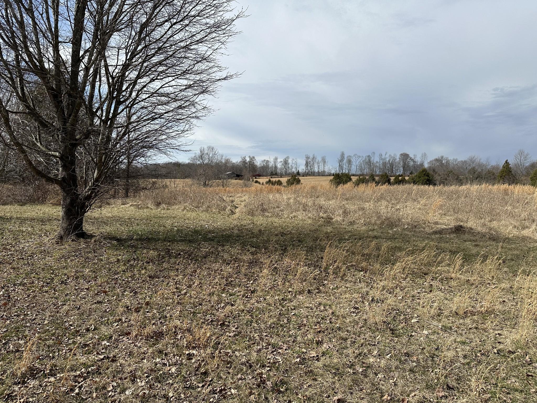 Nubia Rd, Westmoreland, TN 37186