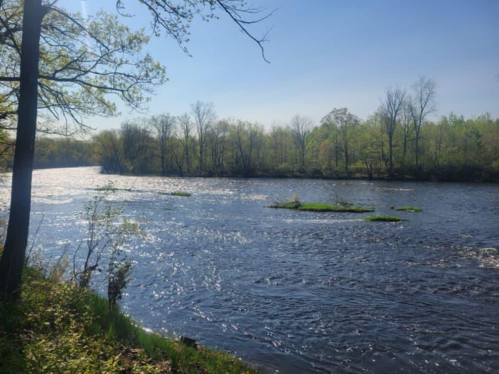 Crooked River Rd, Pine City, MN 55063
