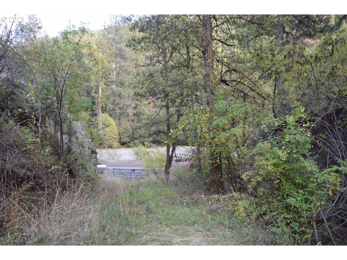 Bingham Rd, Adams, OR 97810