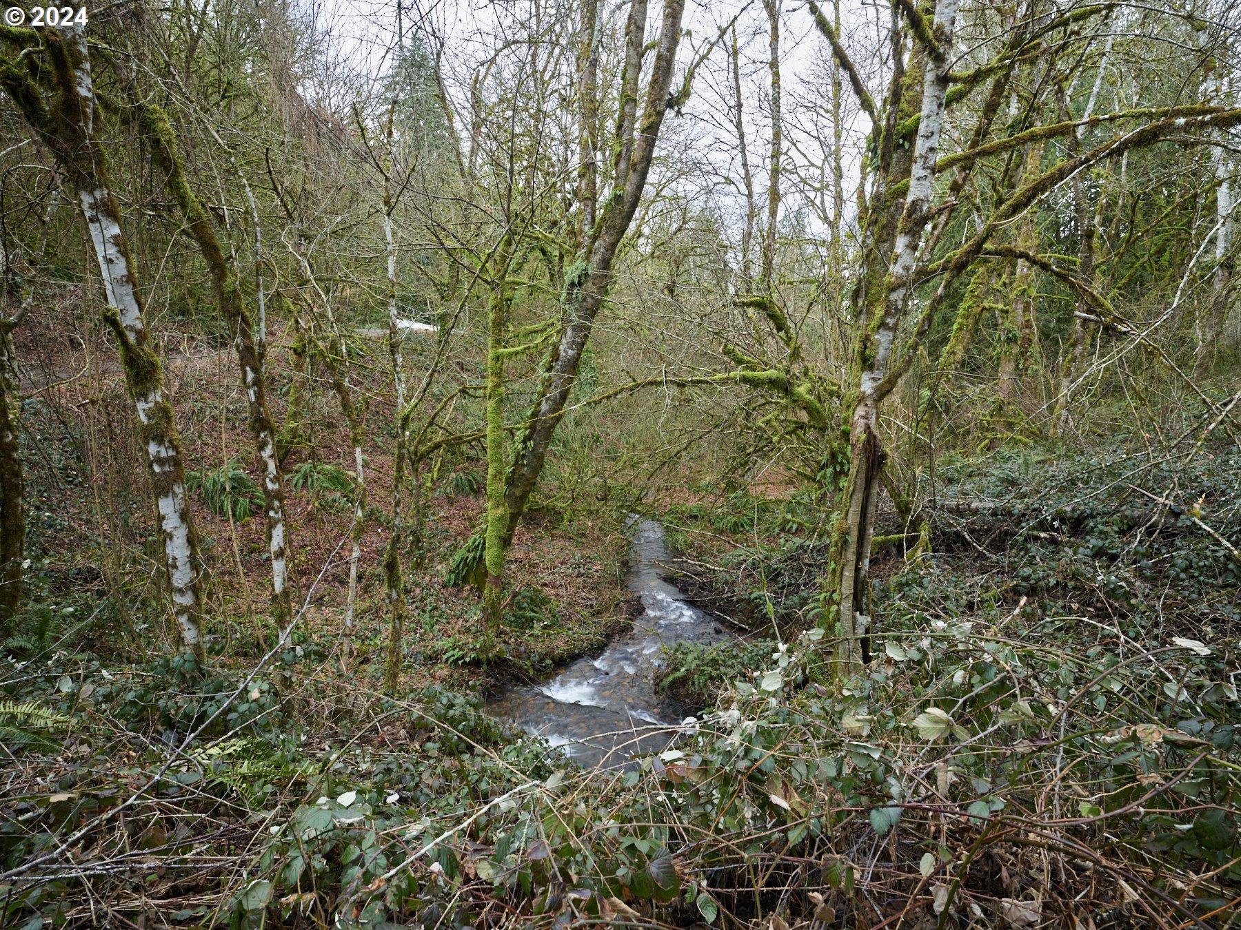 Ne 351st Way, La Center, WA 98629