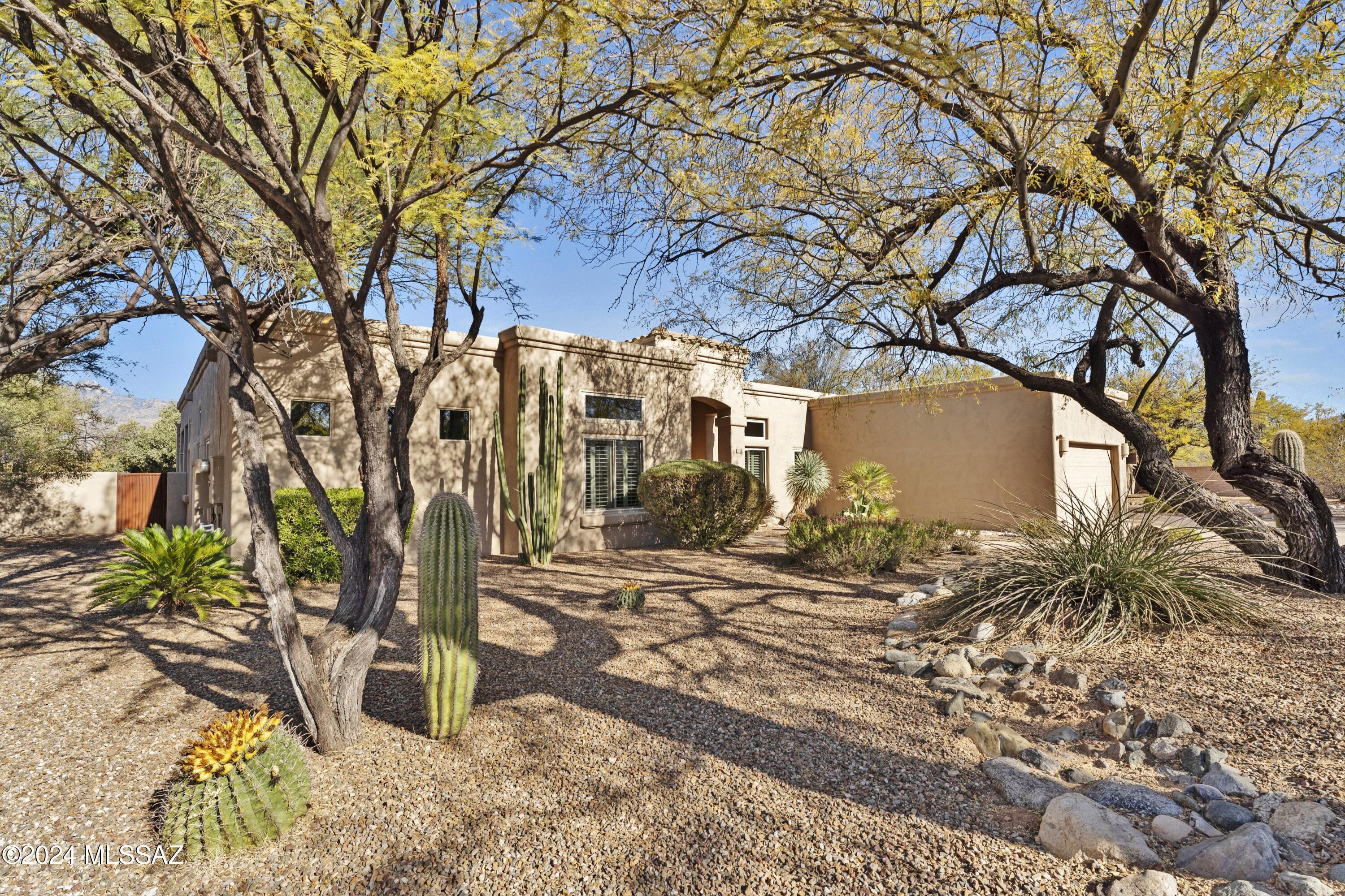 E Bear Paw Pl, Tucson, AZ 85749