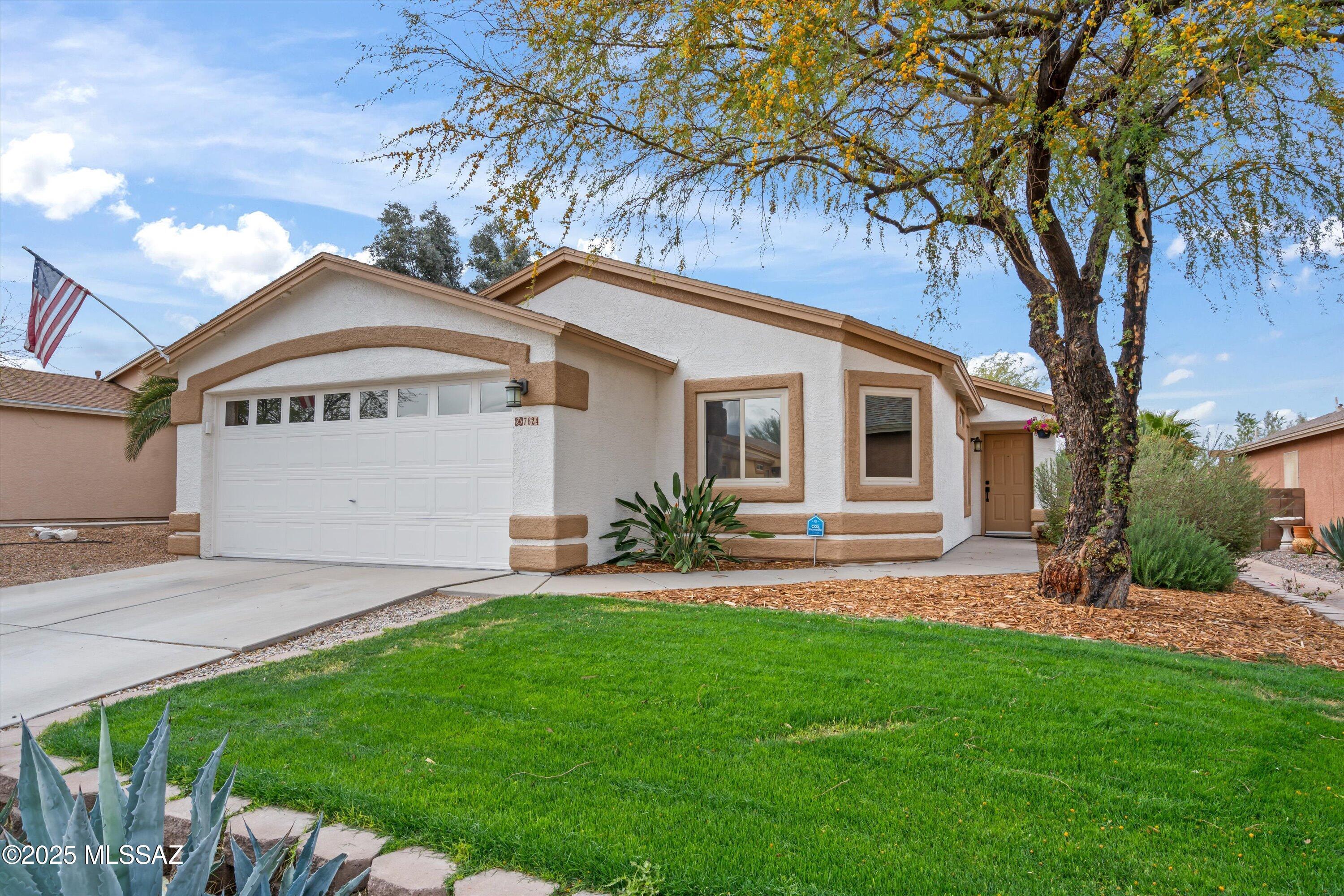 S Meadow Spring Way, Tucson, AZ 85747
