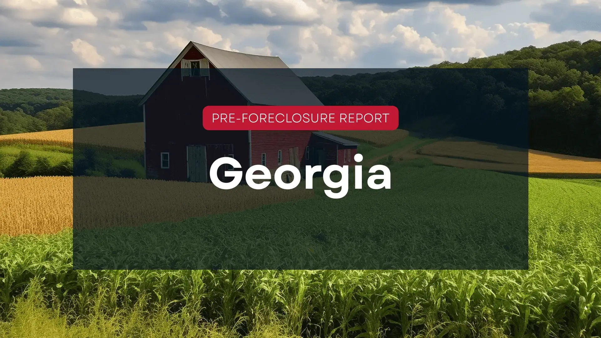 georgia blog hero image