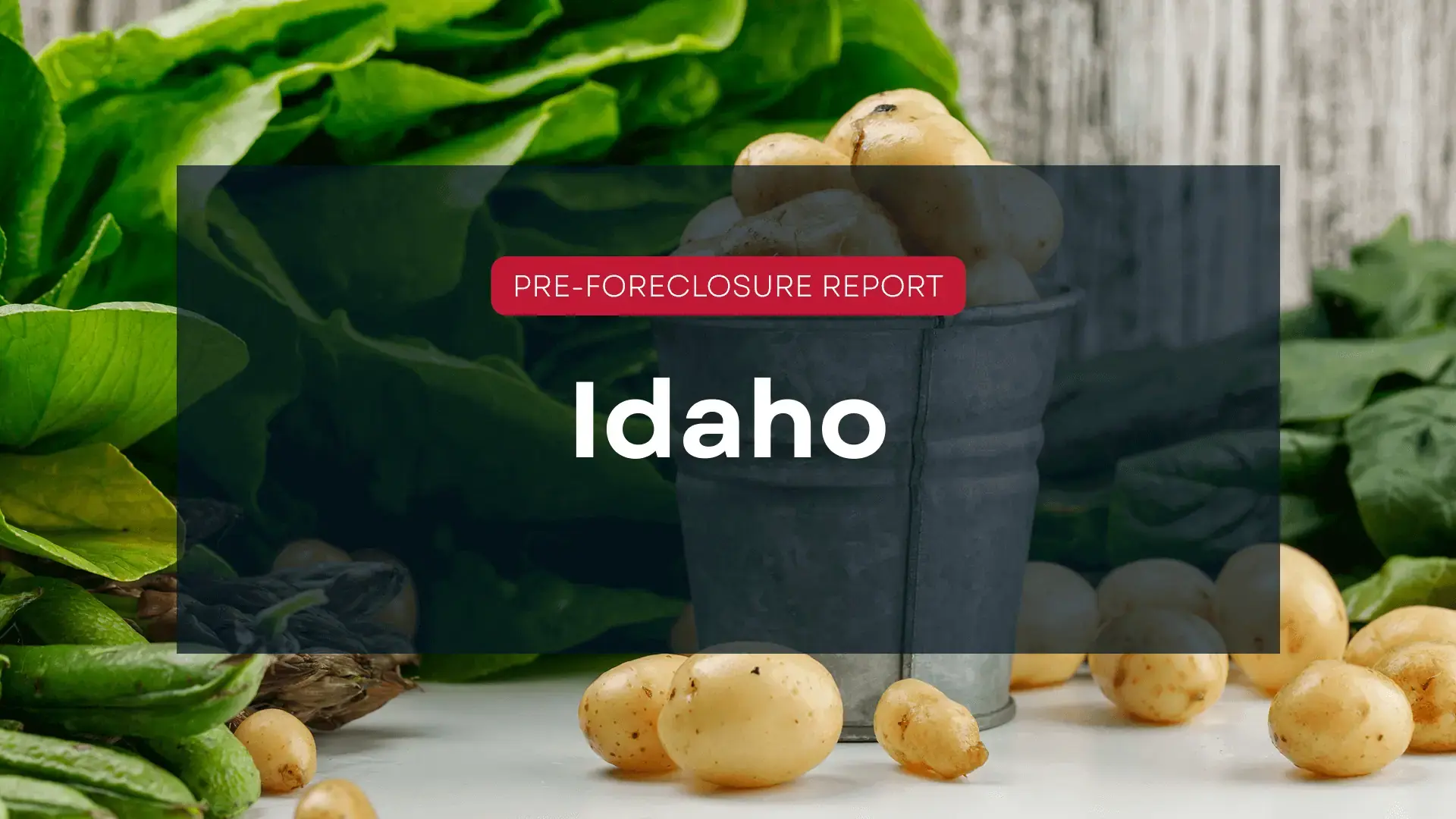 idaho blog hero image