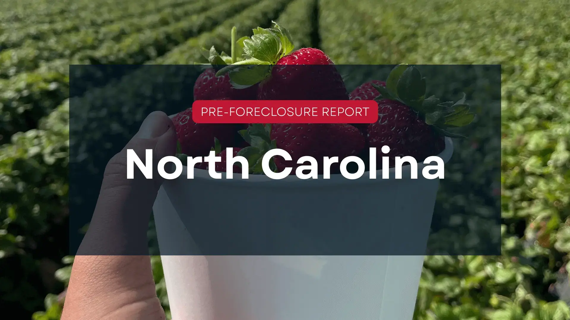 north carolina blog hero image