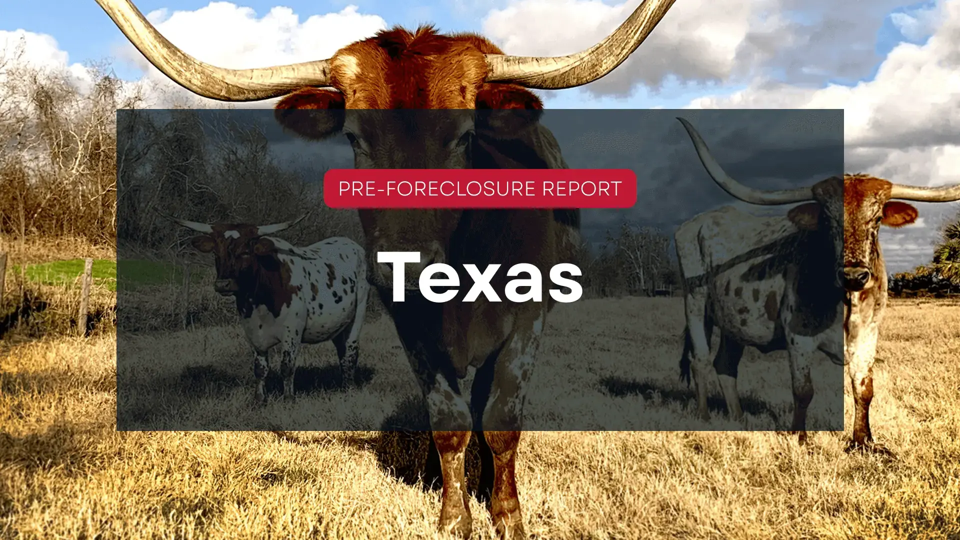 texas blog hero image