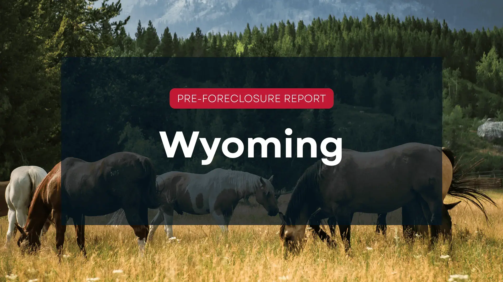 wyoming blog hero image