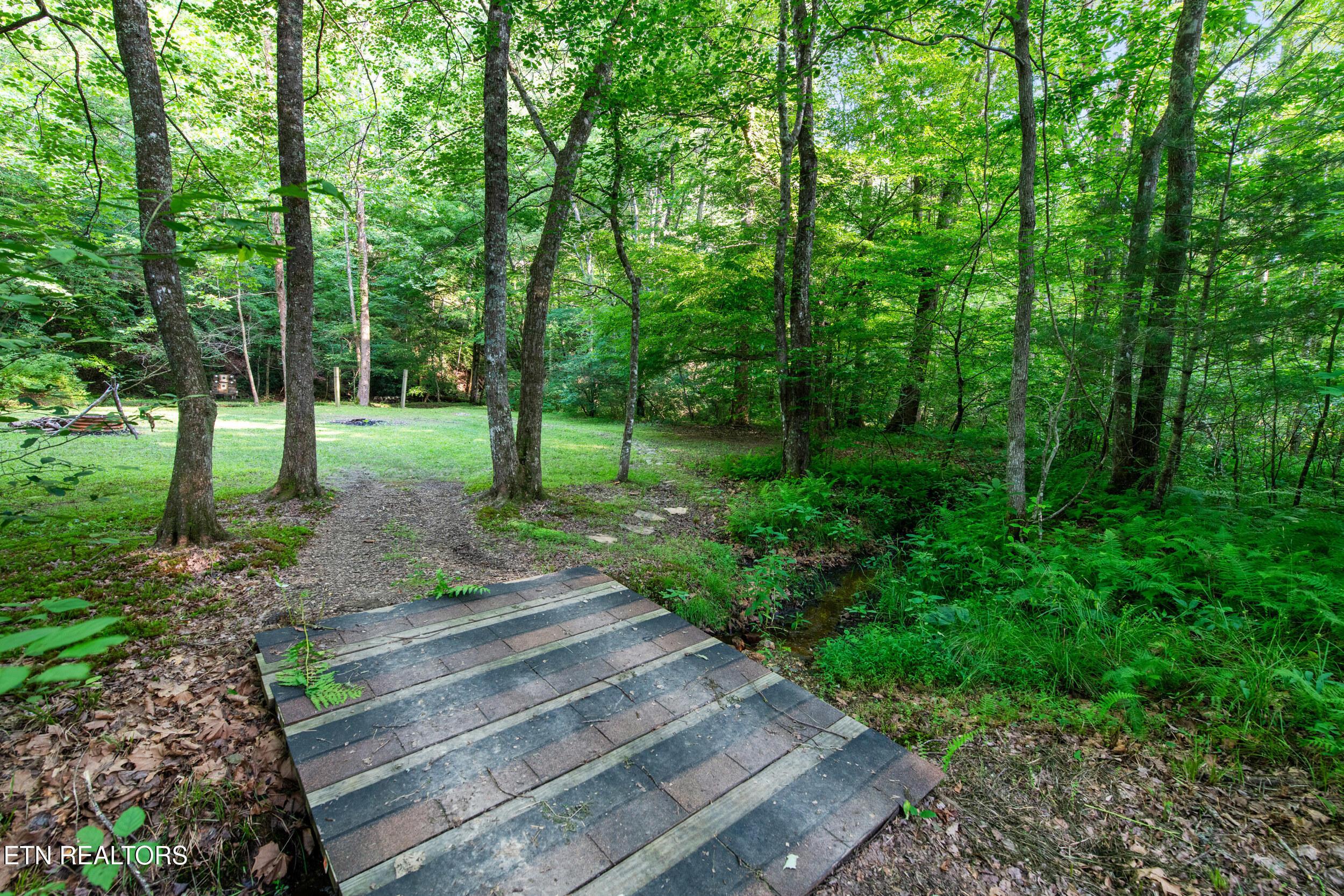 Towee Falls Rd, Tellico Plains, TN 37385