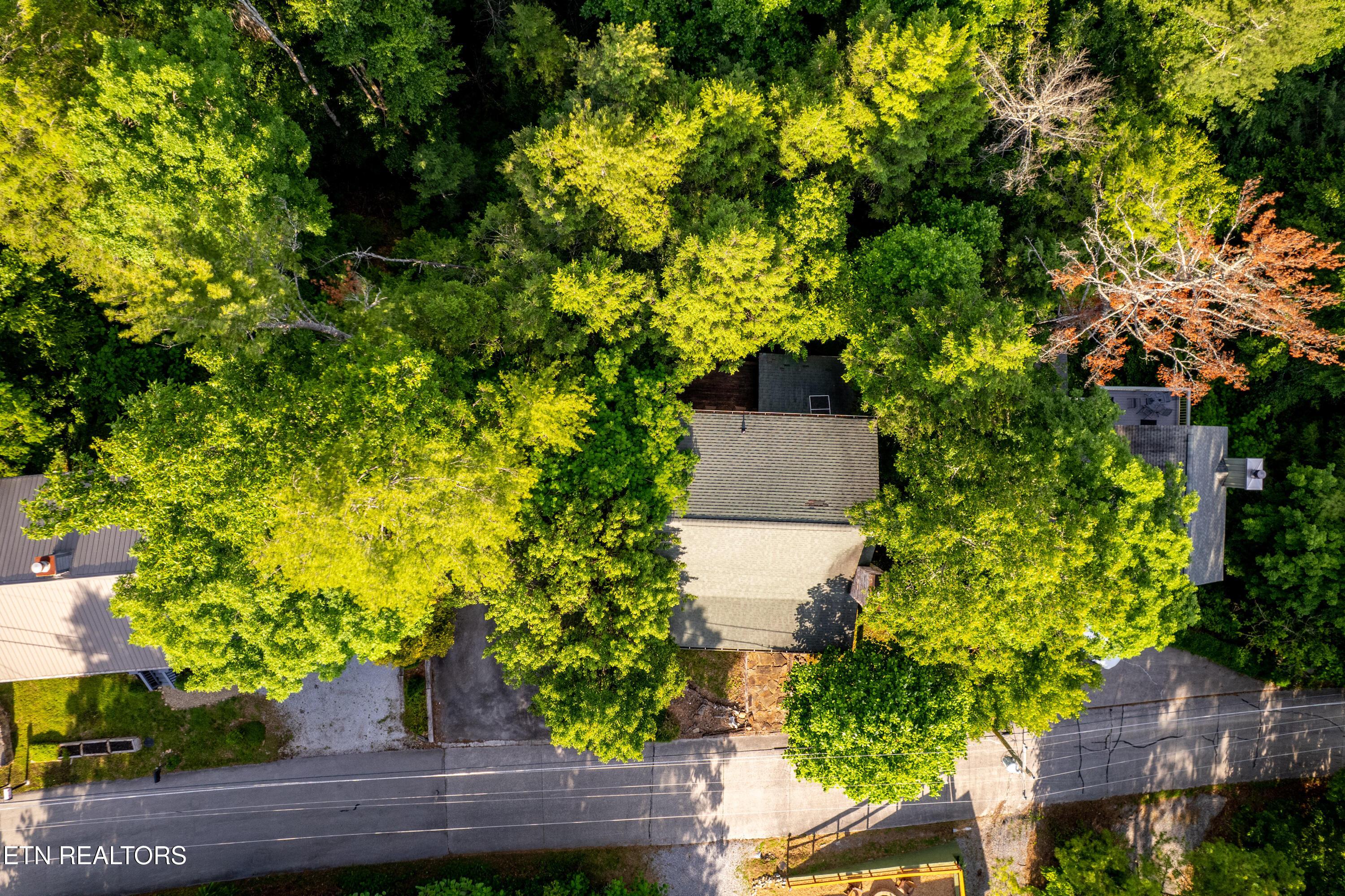 Cutter Gap Rd, Townsend, TN 37882