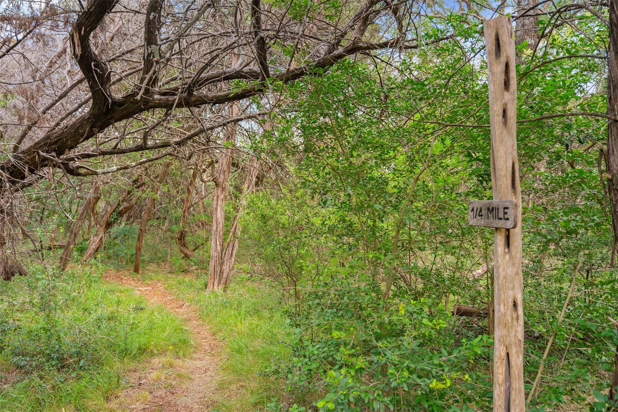 Wild Basin Ledge, Austin, TX 78746