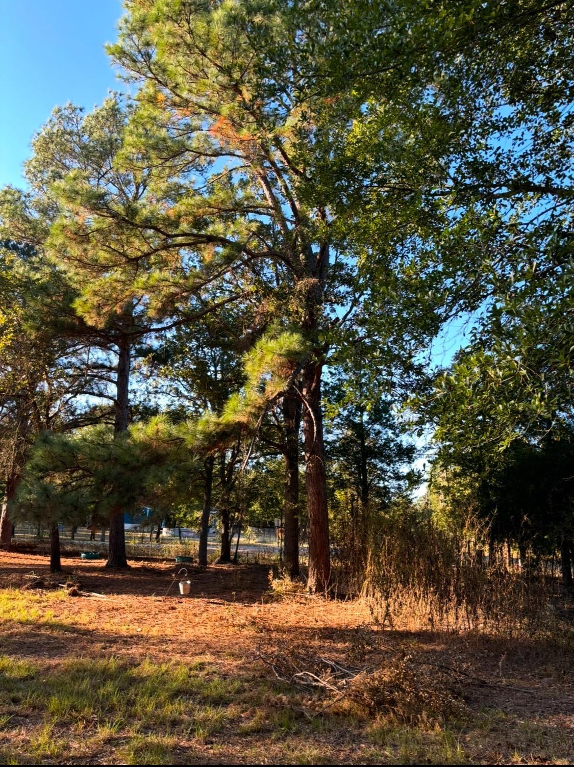 S Austin Dr, Paige, TX 78659