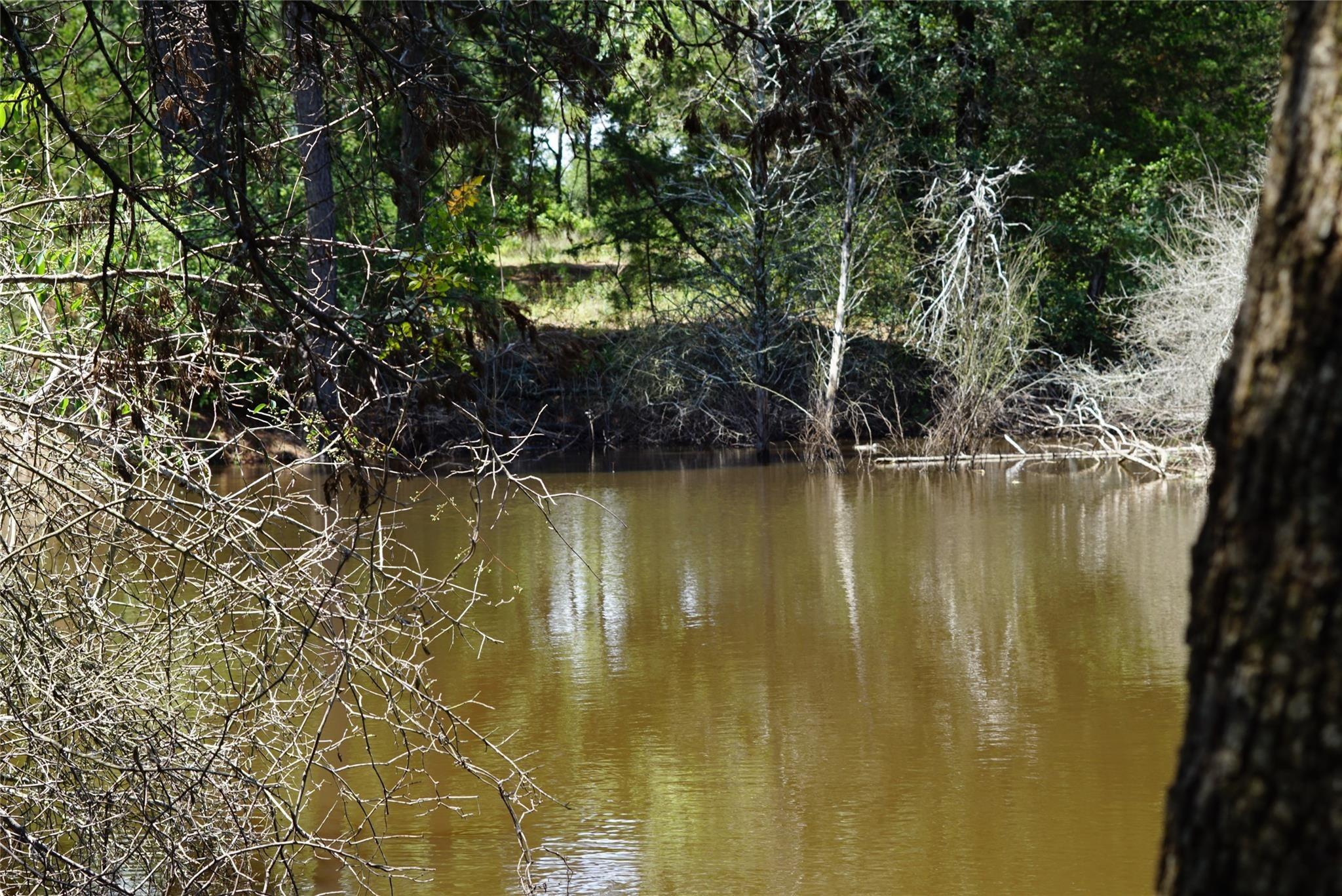 County Road 322, Rockdale, TX 76567