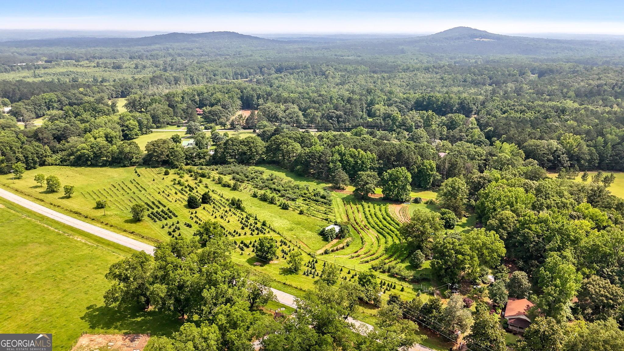 Jeff Davis Rd, Thomaston, GA 30286