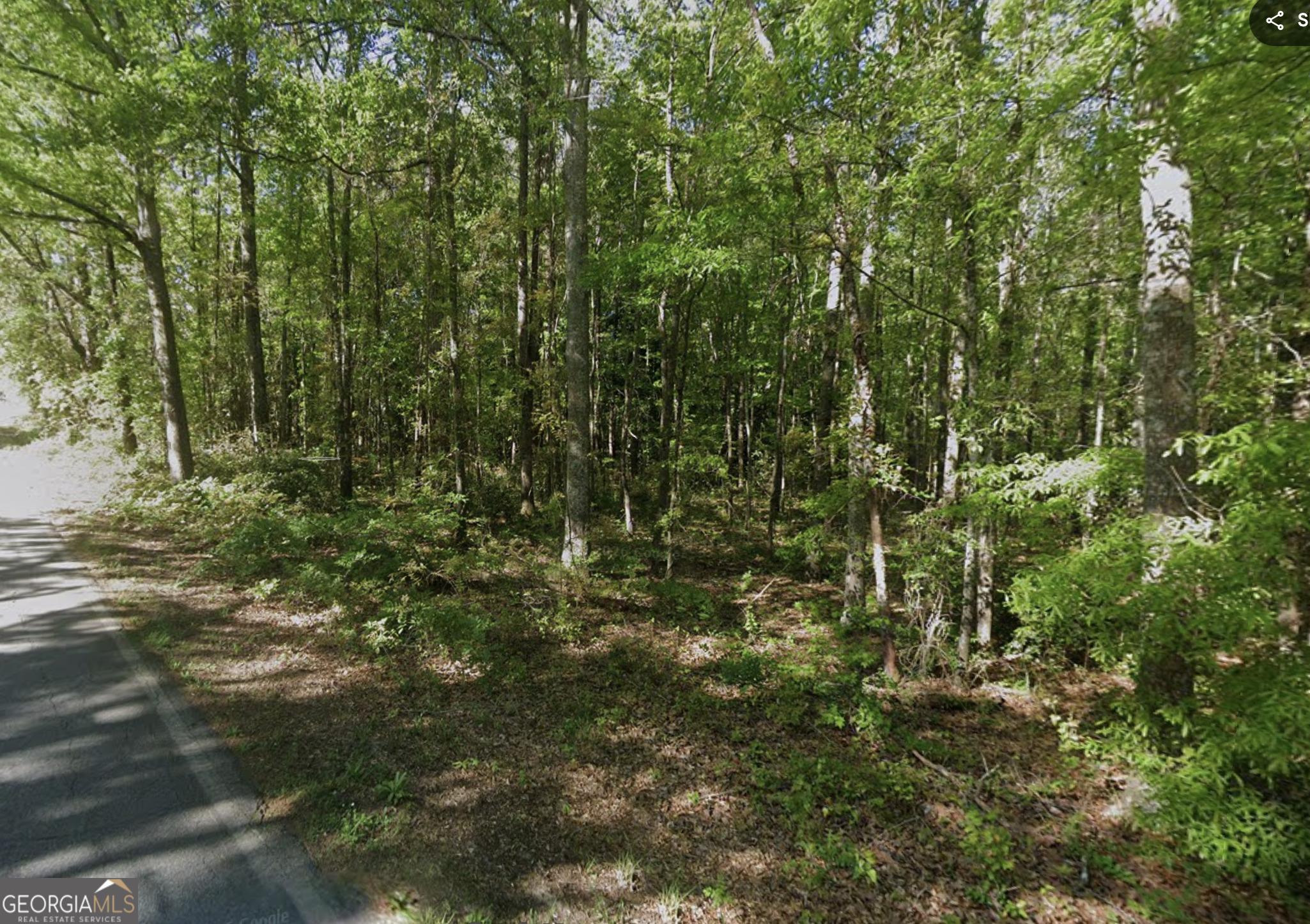 Barnesville Ave, Barnesville, GA 30204