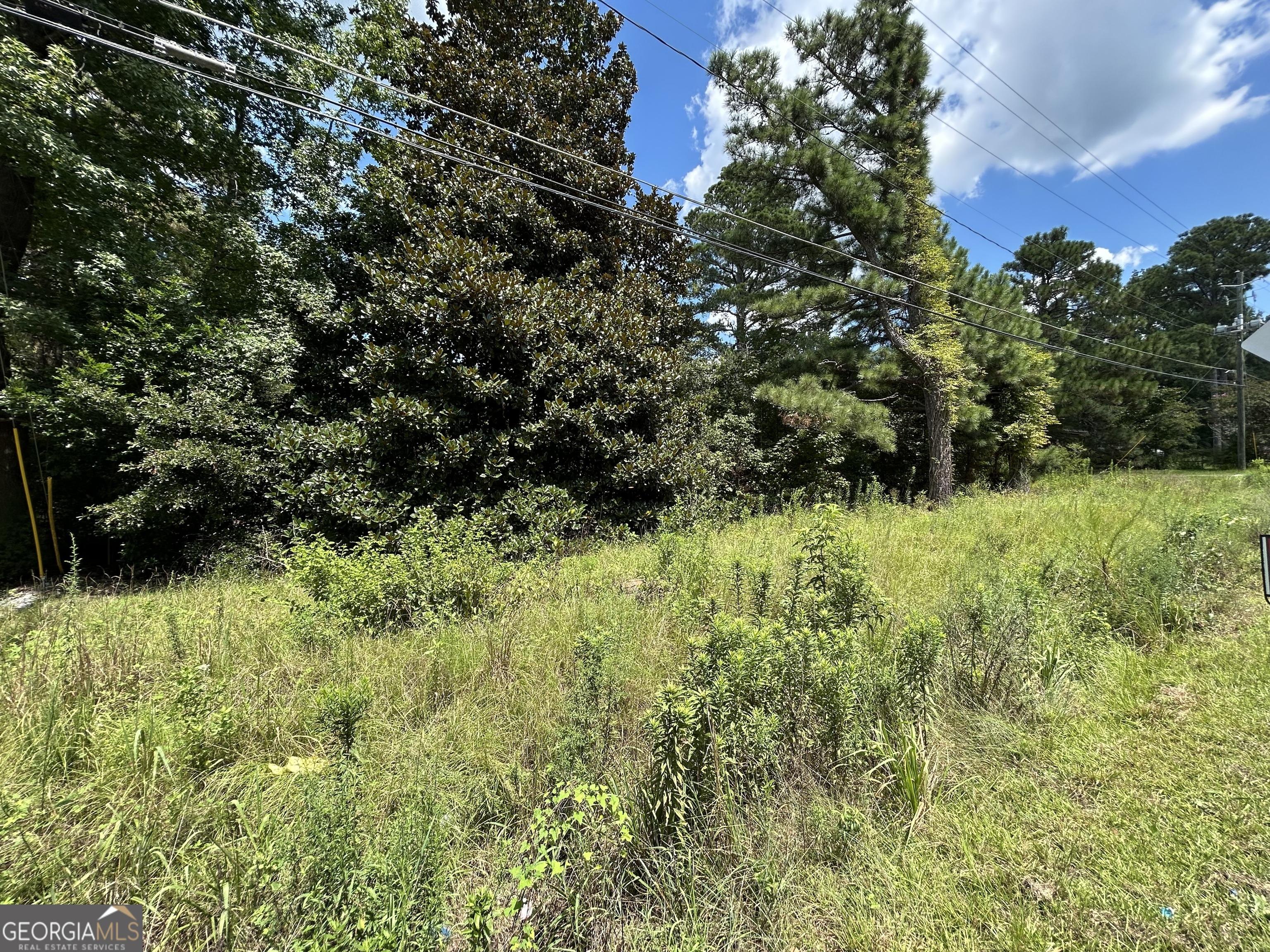 Riggins Mill Rd, Macon, GA 31217