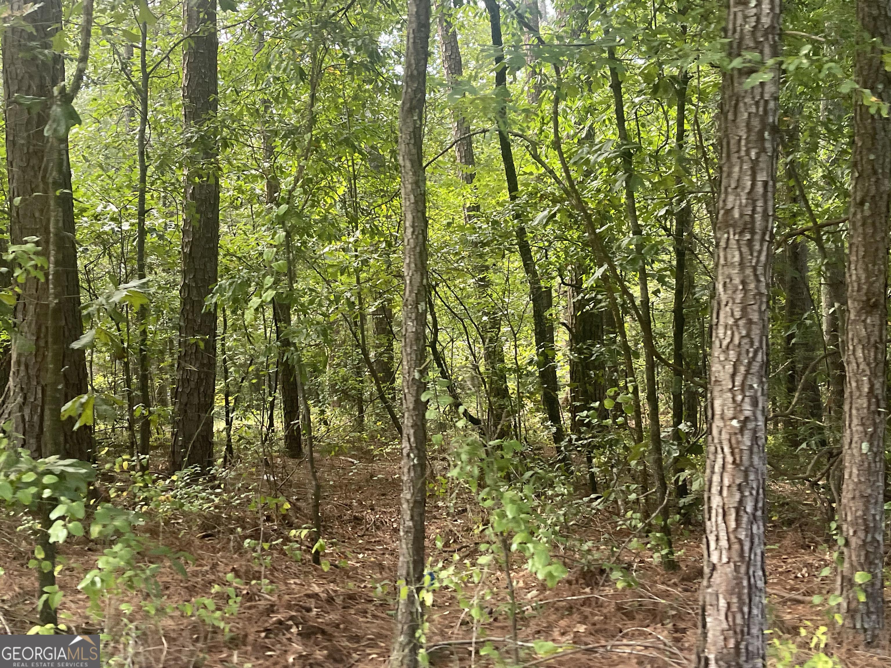 Govanett Rd, Powder Springs, GA 30127
