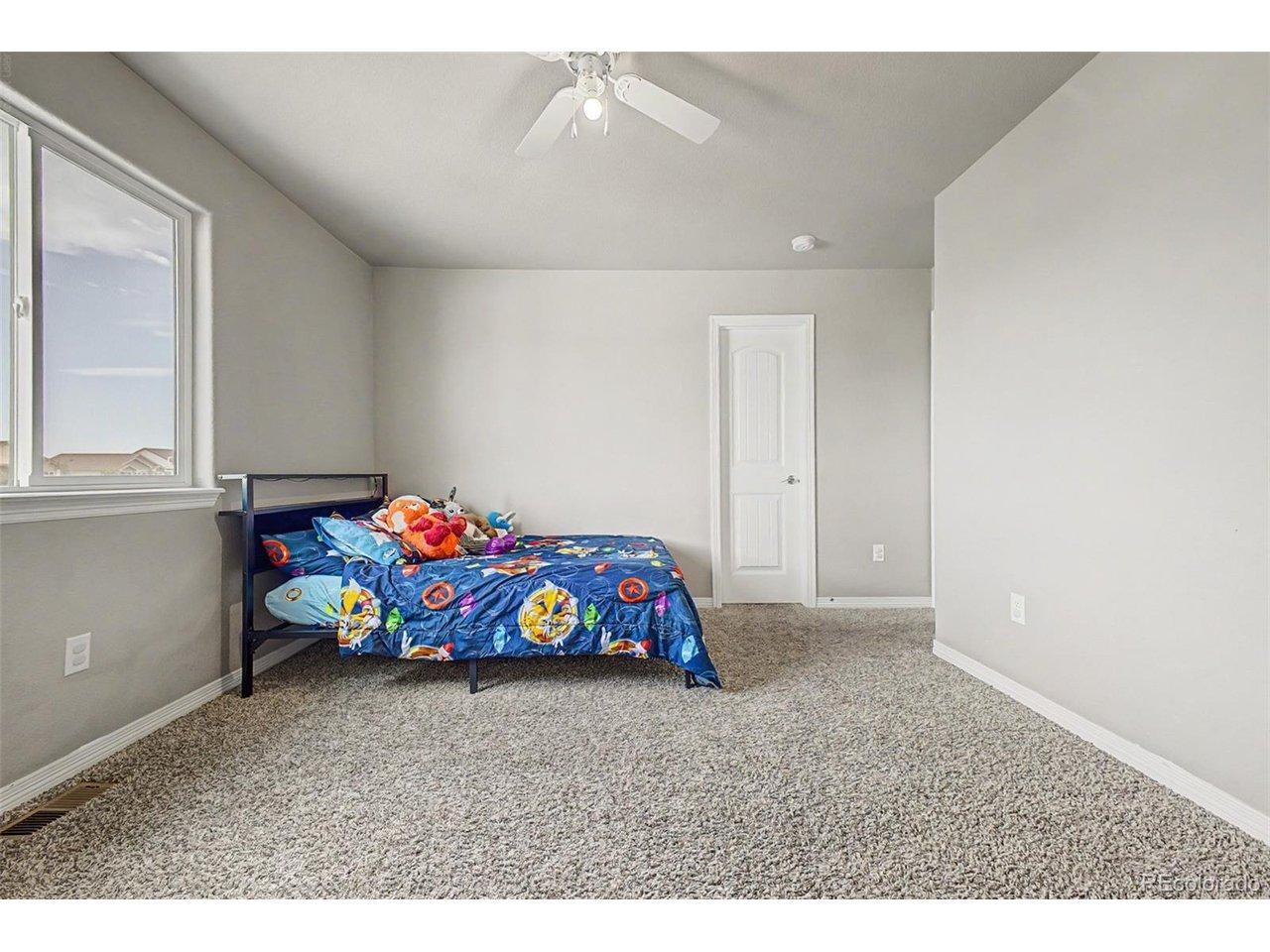 Waltham Dr, Windsor, CO 80550