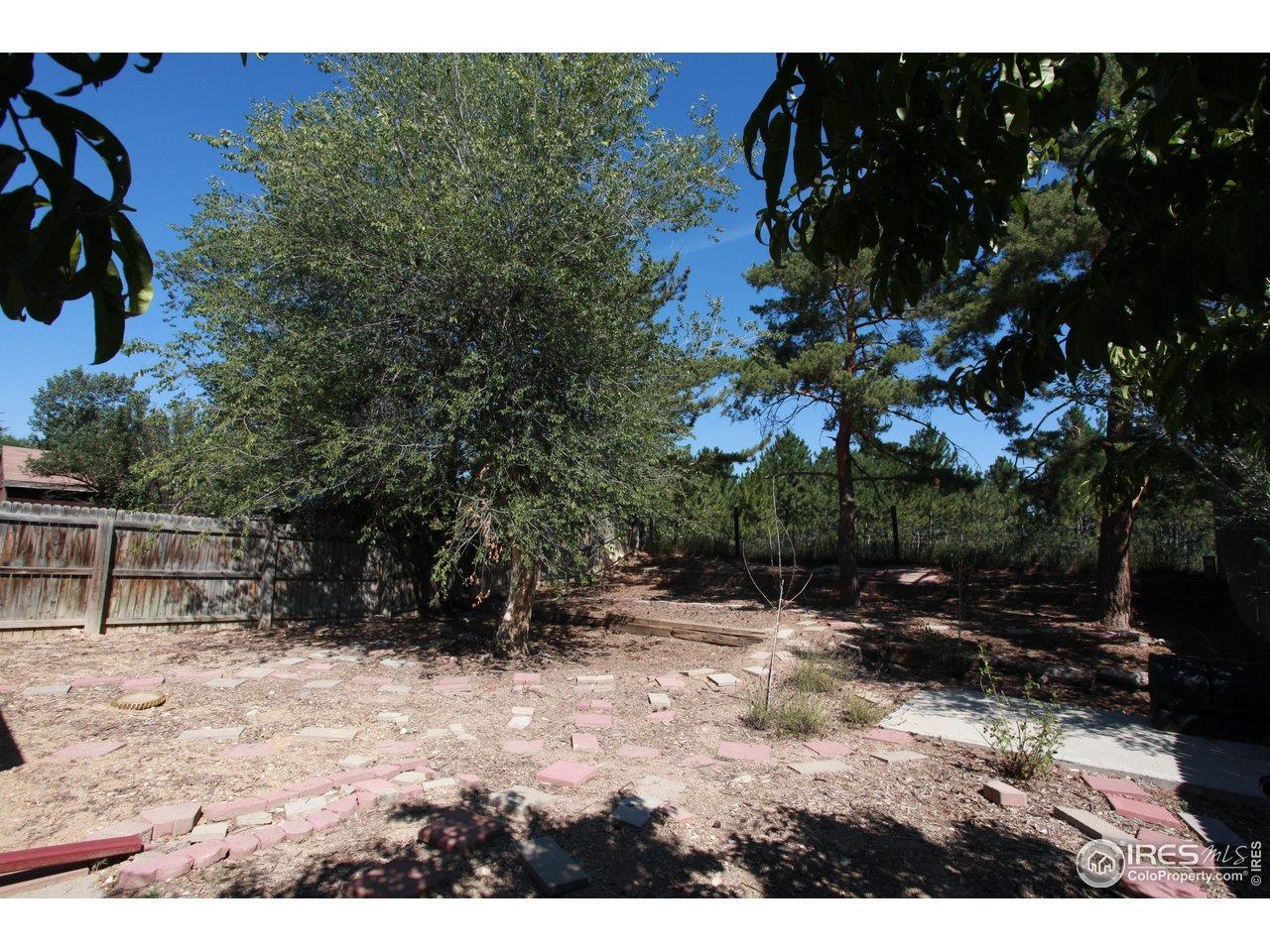 W Olive St, Fort Collins, CO 80521