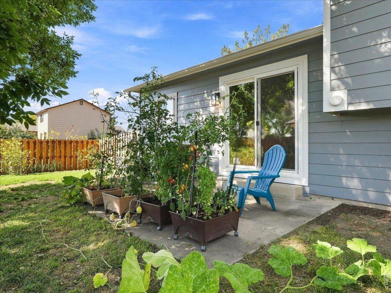 White Ash Ct, Loveland, CO 80538