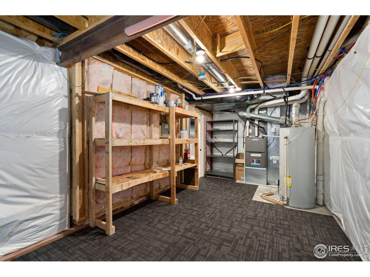 Shirttail Peak Ct, Windsor, CO 80550